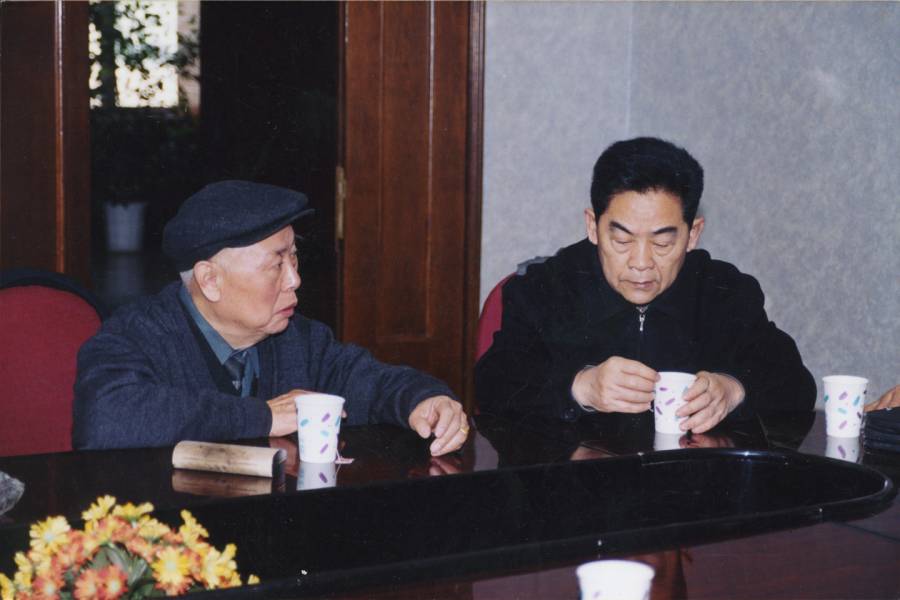 徐学成与余秉楠（2004）